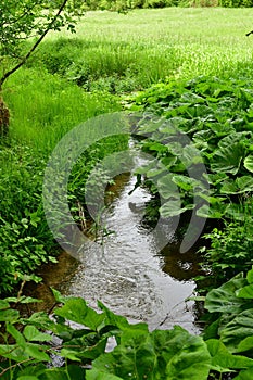 Small river in Franken Jura Germany green meadow