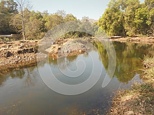 Small river with green tree with shadow