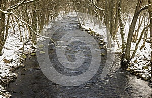 River in Harz Mountains National Parkl photo