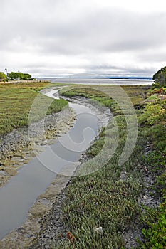 A small river inlet flows through the Burlingame Shore Bird Sanctuary.