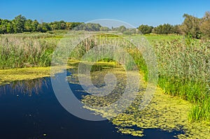 Small river Kolomak and nearest meadow at summer season, Ukraine photo