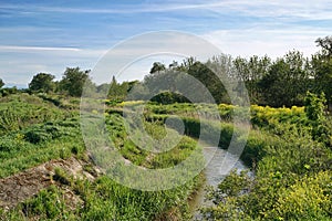 Small river in the labinsk region