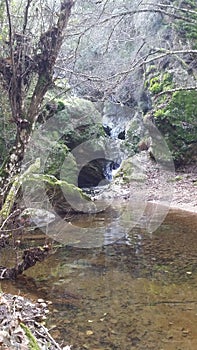 Small river in the middle of the Sierra