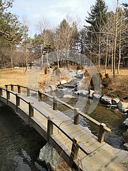 Small River in Nami Island