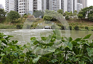 The small river in nanning city, adobe rgb.