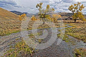 Small river near the rangers house and yellow trees