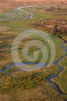 Small river in Okavango delta