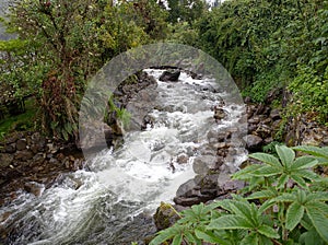 Small river in Papallacta, Ecuador photo
