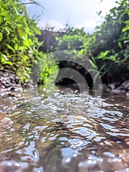 small river in the rice field