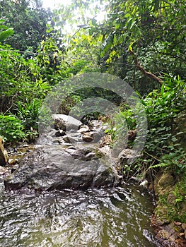 A small river between the rocks and the trees of the forest. PequeÃÂ±o rÃÂ­o de montaÃÂ±a entre las rocas. photo