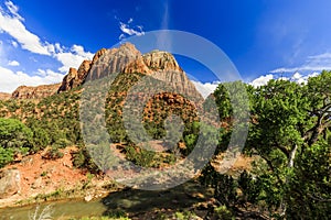 Small river at Scenic Zion Road. Zion National Park, Utah.