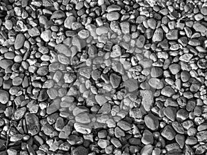 Small river sea stones. summer background. black and white pebble stone matrerial