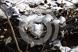 Small river in the snowy forest