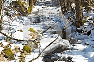 Small river in the snowy forest