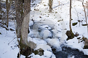 Small river in the snowy forest