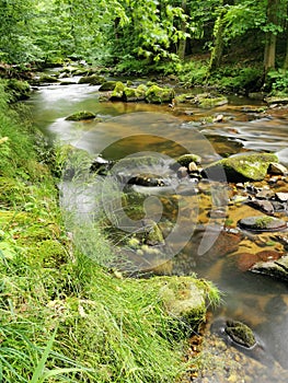 small river in spring czech forest