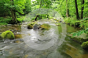 small river in spring czech forest