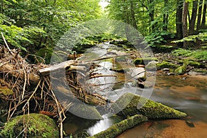 small river in spring czech forest