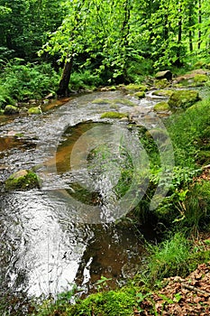 small river in spring czech forest