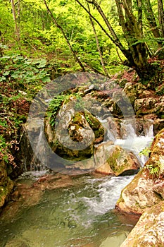 Small river stream waterfall in the forest natural environment