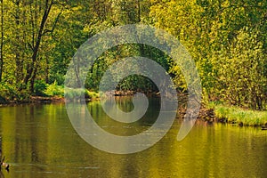 The small river in summertime.narrow river and grass growing on the shore, close-up in summer in sunny weather.A river