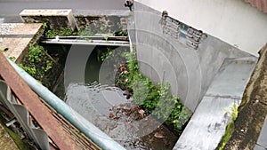 small river surrounded by walls