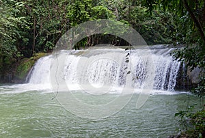 The small river with thresholds in the tropical nature