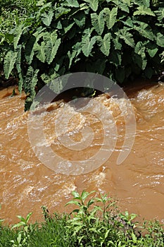 Small river in town after the rain