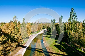 Small river in Valencia Bioparc with green lush tree under blue sky photo