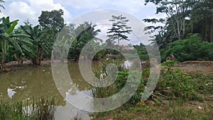 Small river water overflowed in the village