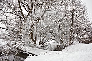 Small river in winter. Rural January scene, bridge over creek. Trees on riverbank covered with snow