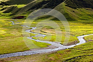 Small rivers in alpine meadows