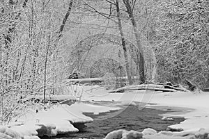 Small rivers stream in snowy day