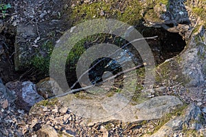A small rivulet flows like a waterfall from a rock onto forest floor