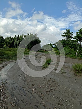 Small rivulets with clouds blue sky tree