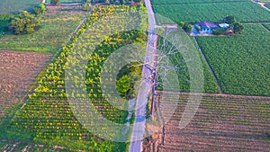 a small road in the green fields