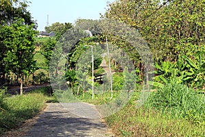 Small road in the village photo