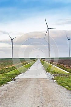 Small road between wind electricity heading to coast of north Netherlands near Eemshaven in winter