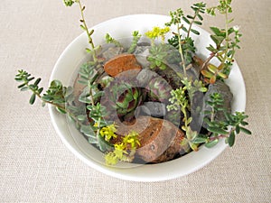 Small rock garden in a planting bowl