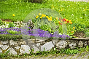 Small Rockery in the Backyard