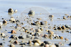 Small rocks low tide