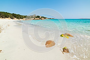 Small rocks by the shore in Capriccioli