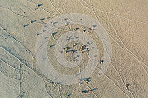 Small rocks and wave marks in the sand. Sea or ocean beach.