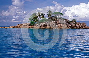 Small rocky island with palm trees