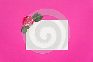 Small roses and blank white card on pink background