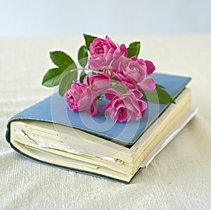 Small roses on a diary