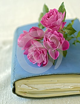 Small roses on a diary