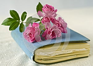 Small roses on a diary