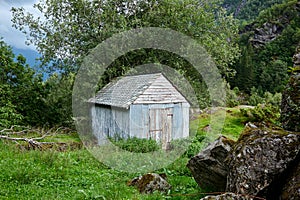 Small rotten shed in nature