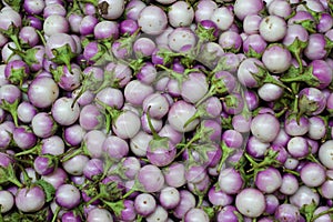 Small round eggplants sold in a Cambodian food street market